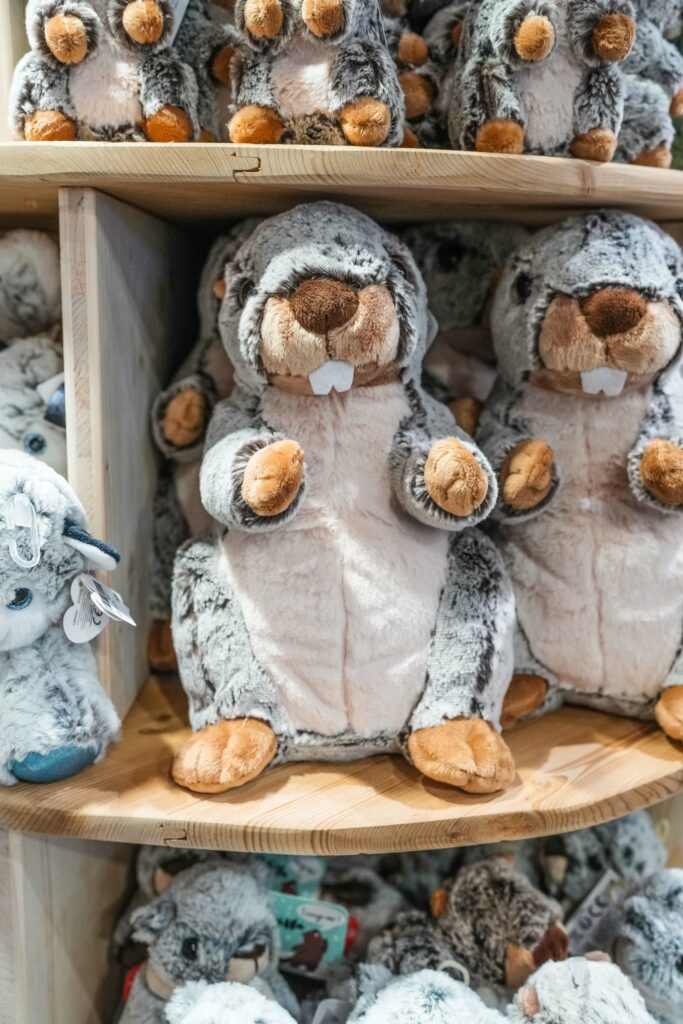 magasin-souvenirs-jouets-cadeaux-décoration-tout-schuss-tignes-73320 magasin-souvenirs-jouets-cadeaux-décoration-tout-schuss-tignes-73320